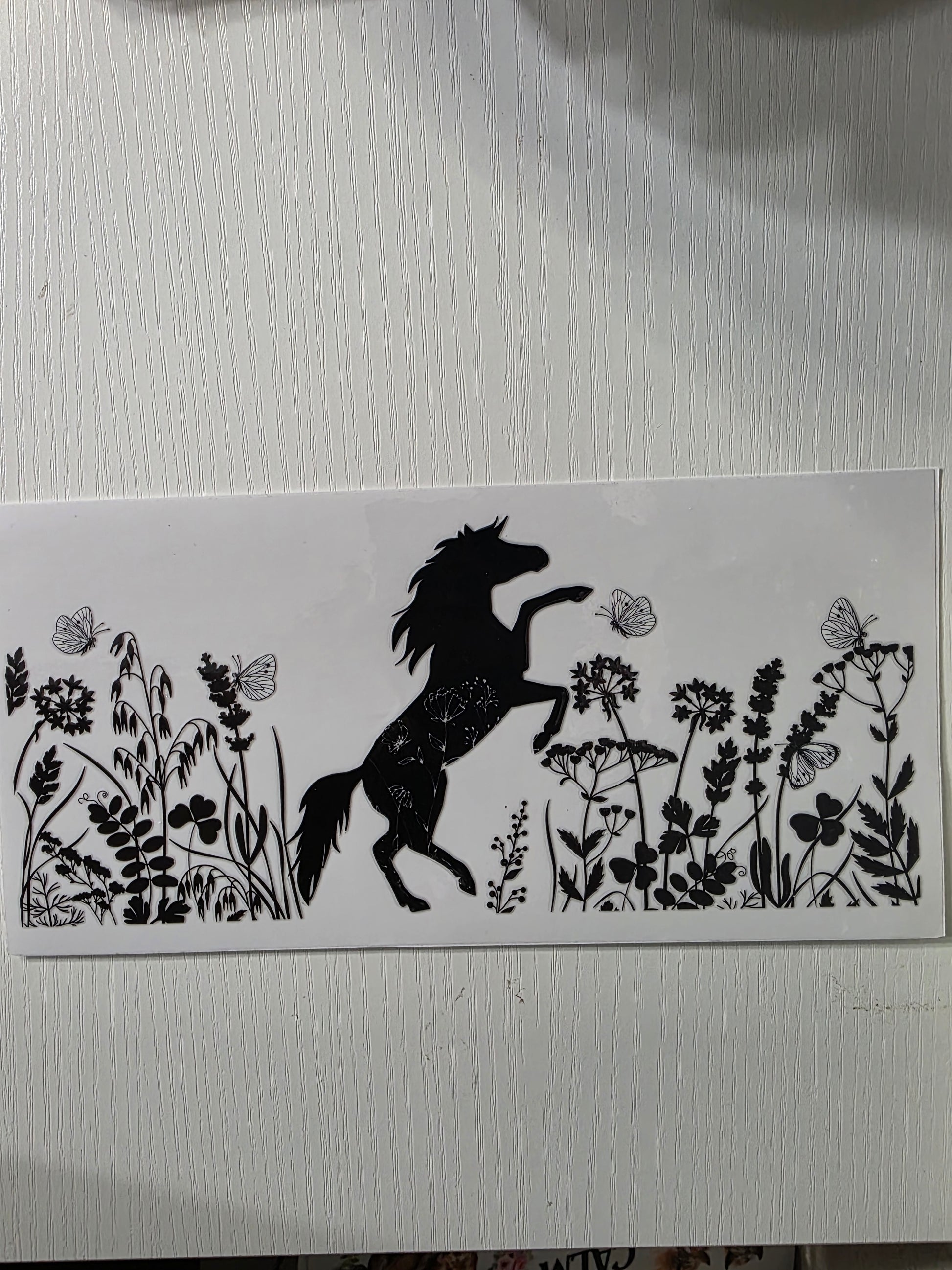 Black & white standing horse